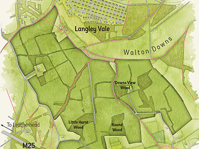 New woodland and nature reserve at Langley Bottom