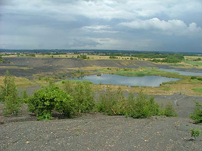 case-study-reclamation